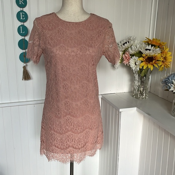 Pink Lily Lace Dress Mix & Match Size Small - Picture 1 of 14
